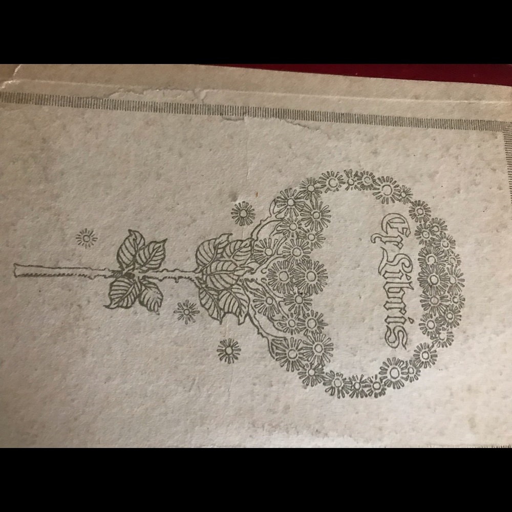 A Original Fur knitted Beaver with Fox   Runway